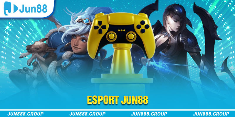 32win32 Trăm Knorr