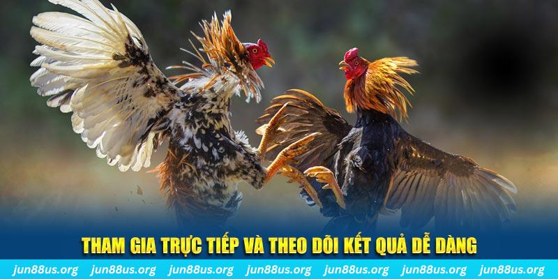 32win32 đá gà trực tiếp bình luận viên