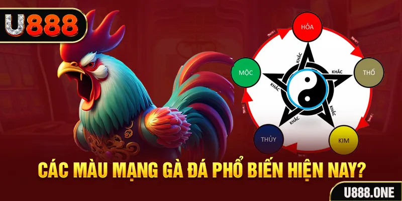 32win32 đăng nhập mậu binh