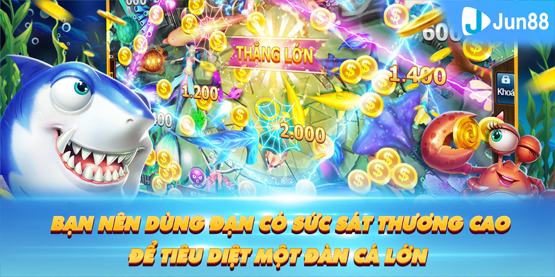 Tung Đồng Xu