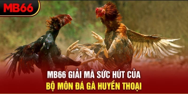 32win32 Phi Đội Ưu Tú