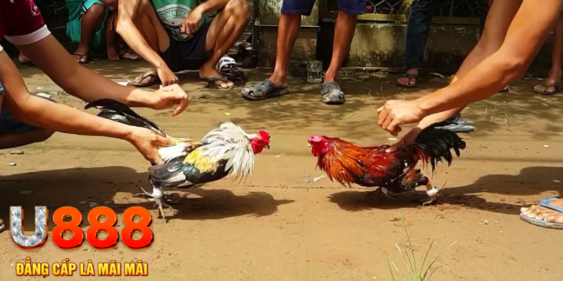 32win32 đăng nhập mậu binh rút tiền nhanh