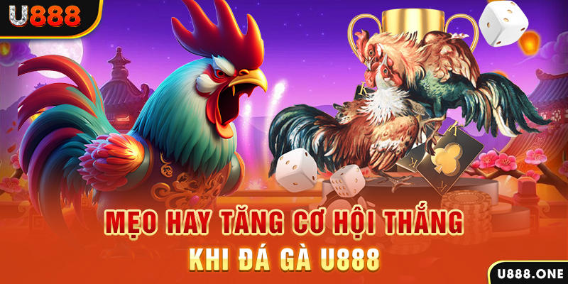 32win32 trực tiếp gà chọi c1
