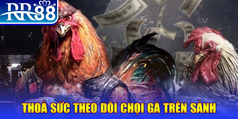 32win32 đá gà 88.com